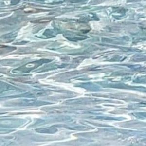 Meet your Posher, Kylie